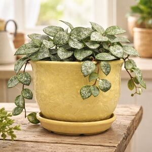 Yellow Ceramic Barrel Planter with Attached Saucer - 7 Inch Indoor Outdoor